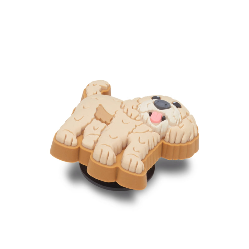 Jibbitz™ Charm Golden Doodle Puppy