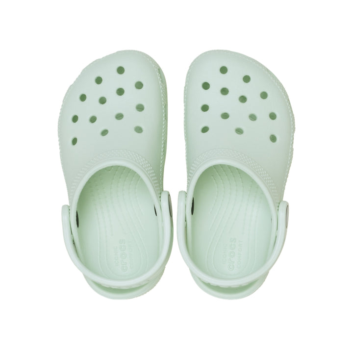 Giày Clog Trẻ Em Crocs Toddler Classic - Mint Tint - Crocs™ Việt Nam